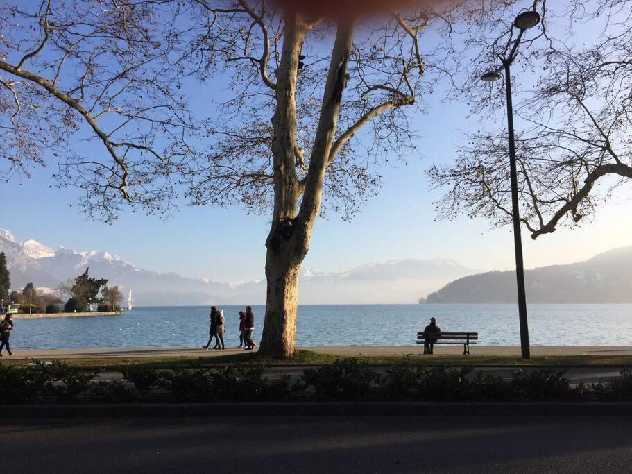 Appart Du Vernay Annecy Bagian luar foto